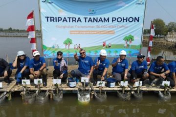 Cegah Perubahan Iklim, Tripatra Tanam 50.000 Pohon