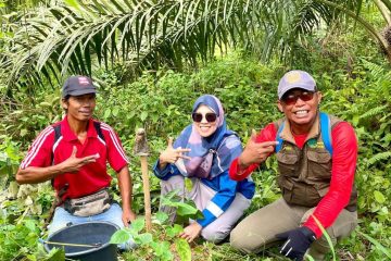 Pertamina Gas Tanam Pohon Endemik di Taman Nasional Kutai