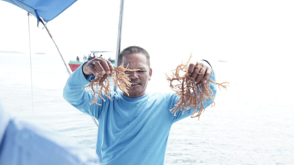 Tekan Dampak Mikroplastik di Laut, Badak LNG Ciptakan “Kapsurula” di Menara Marina