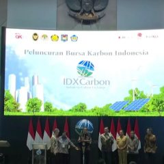 Resmi Diluncurkan, Perdagangan Bursa Karbon Ditargetkan Baru Bisa Optimal Tahun 2024