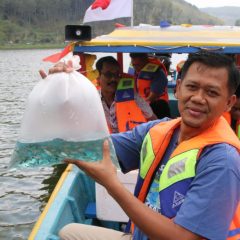 Jaga Komitmen Konvervasi Lingkungan, PLN IP Tebar 100 Ribu Ikan di DAS Serayu