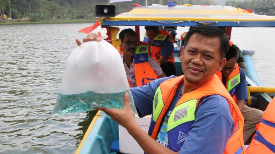 Jaga Komitmen Konvervasi Lingkungan, PLN IP Tebar 100 Ribu Ikan di DAS Serayu