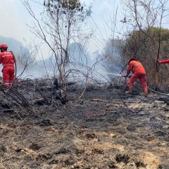 Menteri LHK Pastikan Tidak Ada Asap Lintas Batas Hingga Malaysia