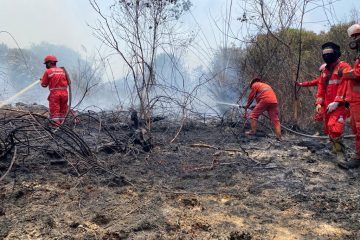 Menteri LHK Pastikan Tidak Ada Asap Lintas Batas Hingga Malaysia