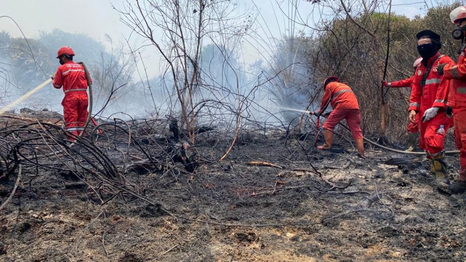 Menteri LHK Pastikan Tidak Ada Asap Lintas Batas Hingga Malaysia