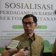 Perdagangan Karbon untuk Pencapaian Target NDC, Kontribusi Indonesia bagi Agenda Perubahan Iklim Global