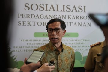 Perdagangan Karbon untuk Pencapaian Target NDC, Kontribusi Indonesia bagi Agenda Perubahan Iklim Global