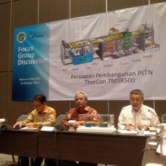 2030 PLTN Thorcon Power Siap Beroperasi Komersial