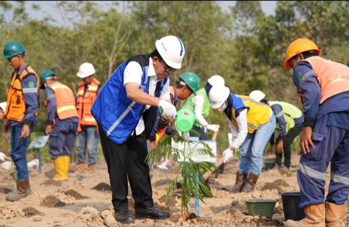 Bukit Asam Kembangkan Energi Biomassa dari Kaliandra Merah