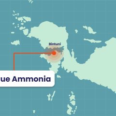 Kilang Pertamina Internasional Targetkan Proyek Blue Ammonia di Papua Rampung 2030