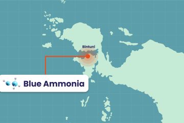Kilang Pertamina Internasional Targetkan Proyek Blue Ammonia di Papua Rampung 2030