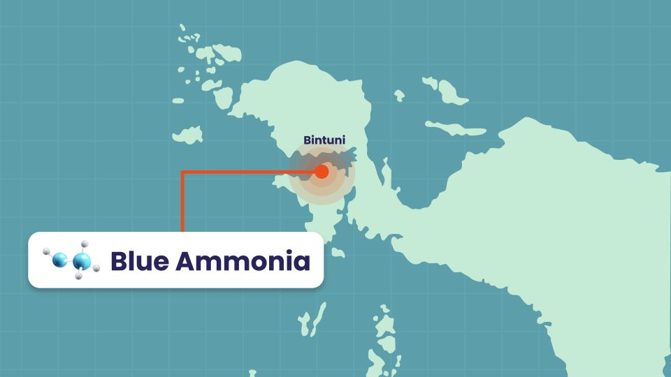 Kilang Pertamina Internasional Targetkan Proyek Blue Ammonia di Papua Rampung 2030