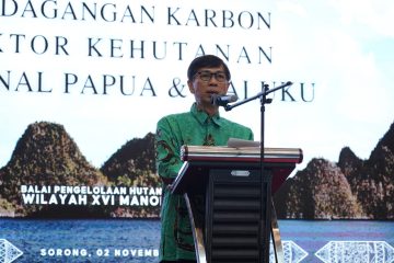 KLHK Terus Sosialisasikan Tata Cara Perdagangan Karbon