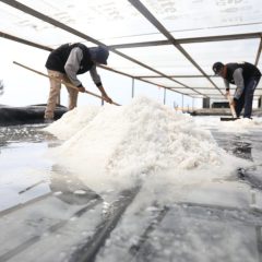 Salt Centre Terintegrasi, Inovasi PHE WMO Siapkan Petani Garam di Segala Cuaca