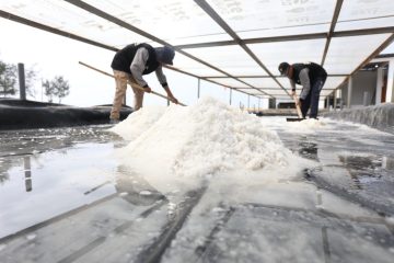 Salt Centre Terintegrasi, Inovasi PHE WMO Siapkan Petani Garam di Segala Cuaca