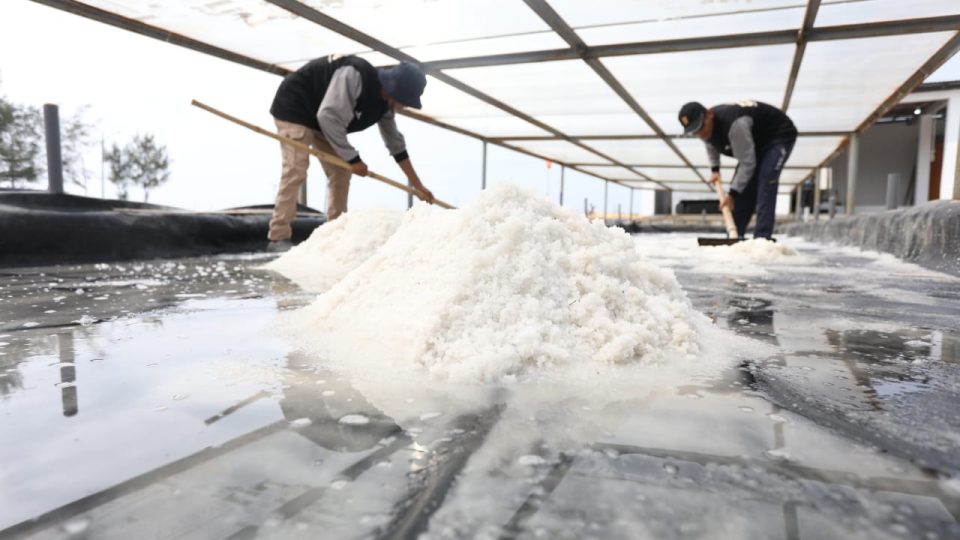Salt Centre Terintegrasi, Inovasi PHE WMO Siapkan Petani Garam di Segala Cuaca