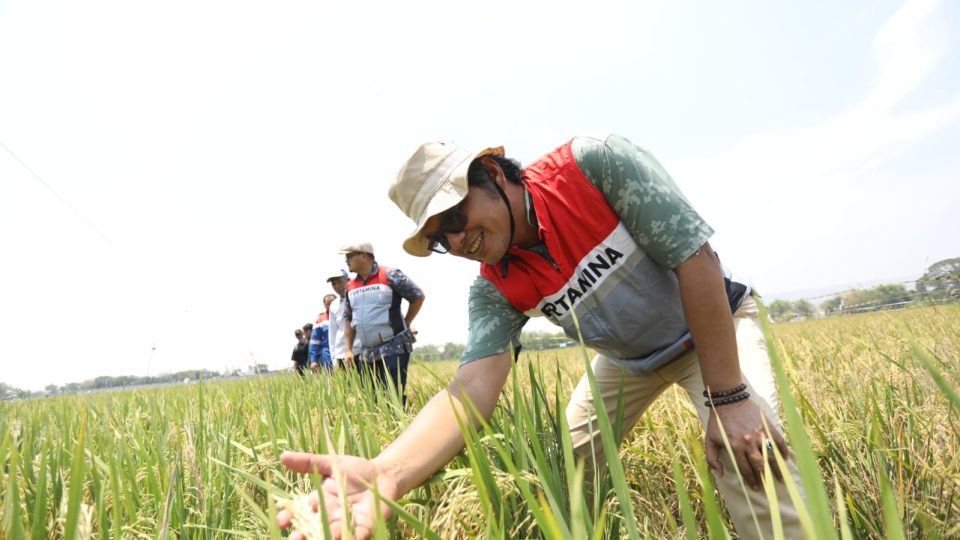 Prabu Kresna, Inovasi PEP Sukowati Dukung Pertanian Berkelanjutan