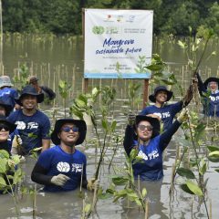 Ribuan Pekerja Medco E&P Tanam Dan Donasi Pohon di Lahan Kritis