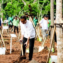 Atasi Perubahan Iklim dan Polusi Udara,  Presiden Jokowi Ajak Masyarakat Tanam Pohon