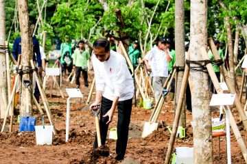 Atasi Perubahan Iklim dan Polusi Udara,  Presiden Jokowi Ajak Masyarakat Tanam Pohon