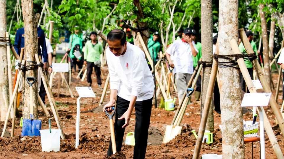 Atasi Perubahan Iklim dan Polusi Udara,  Presiden Jokowi Ajak Masyarakat Tanam Pohon