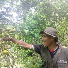 Reinkarnasi Desa Wisata Jeruk Air Talas, Bangkit dari Mati Suri Ekonomi Makin Menggeliat