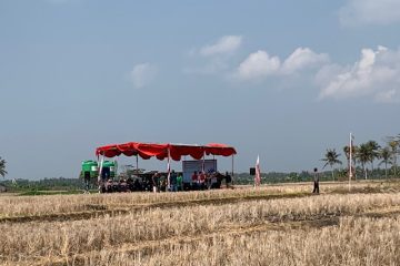 Selain PLTN, Teknologi Nuklir Bisa untuk Pertanian, Pangan, hingga Lingkungan
