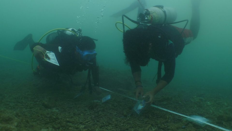 Jaga Pesisir Kita Ubah Nelayan Trawl Net Jadi Pendekar Lingkungan