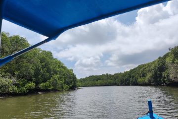 Geliat Ekowisata Mangrove Batu Lumbang di Kota Denpasar