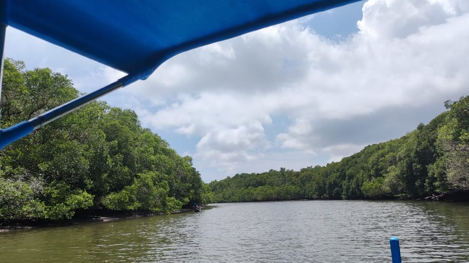 Geliat Ekowisata Mangrove Batu Lumbang di Kota Denpasar