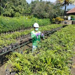 Islam Tegaskan Prinsip Berkelanjutan dalam Pengelolaan Sumber Daya Alam