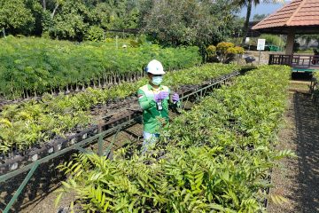 Islam Tegaskan Prinsip Berkelanjutan dalam Pengelolaan Sumber Daya Alam