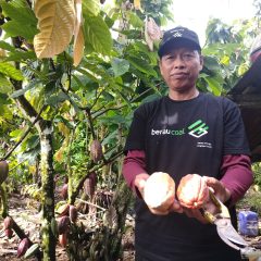 Intip Pengolahan Bahan Baku Coklat Kelas Dunia di Tanah Berau