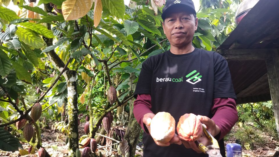 Intip Pengolahan Bahan Baku Coklat Kelas Dunia di Tanah Berau
