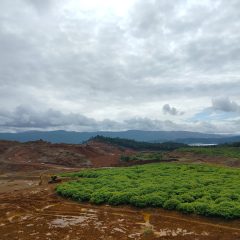 Ini Alasan Kementerian ESDM Cabut Izin Sementara 190 Perusahaan Tambang