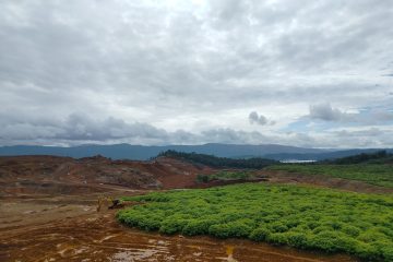 Ini Alasan Kementerian ESDM Cabut Izin Sementara 190 Perusahaan Tambang