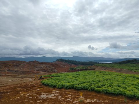 Punya Cadangan Melimpah, Indonesia Justru Berpeluang Lanjutkan Impor Nikel dari Filipina