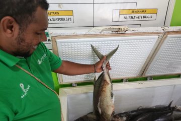 SKK Migas – Petrogas (Basin) Ltd Tingkatkan Perekonomian Masyarakat Arar 