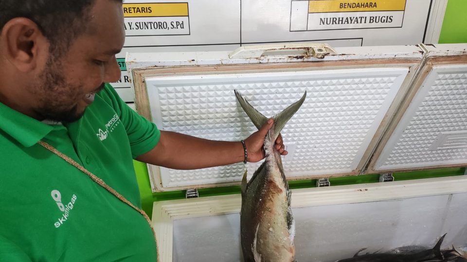 SKK Migas – Petrogas (Basin) Ltd Tingkatkan Perekonomian Masyarakat Arar 