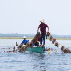 Badak LNG Records Positive Operational Performance Throughout 2023