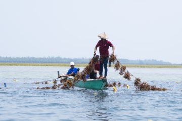 Badak LNG Records Positive Operational Performance Throughout 2023