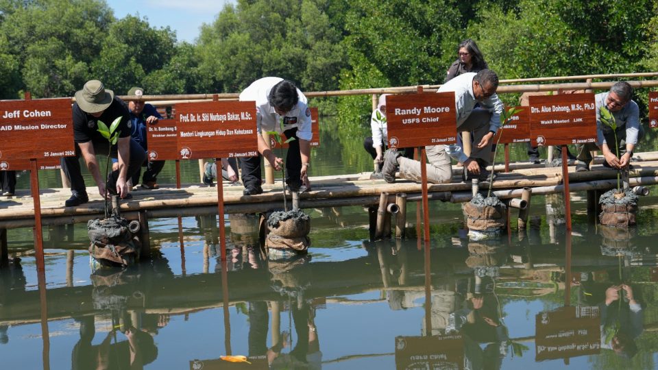 Tutupan Vegetasi Mangrove di Taman Wisata Alam Angke Capai 49,9 Hektar