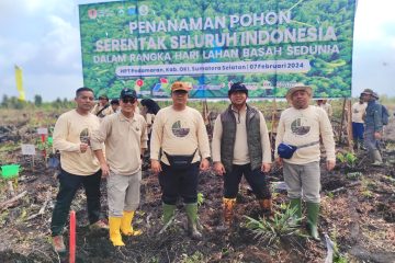 Dukung Pelestarian Lingkungan Hidup, Medco Energi Tanam 1,39 juta Pohon di Sumsel