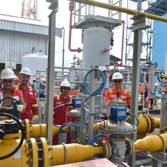 Bukan Ditambah, Pemerintah Justru Kaji Pemangkasan Industri Penerima Harga Gas Bumi Tertentu