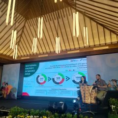 Pertamina Gelontorkan Biaya Eksplorasi Migas Sebesar US$320 Juta