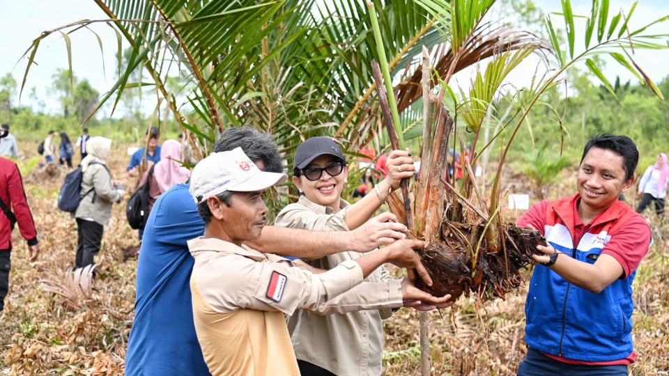 PHR Jaga Ekosistem Gambut di Pulau Terluar Indonesia