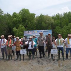 Dukung Upaya Mitigasi Perubahan Iklim, Pertamina Rehabilitasi Mangrove di Nusa Tenggara Timur