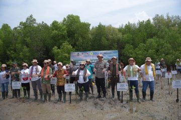 Dukung Upaya Mitigasi Perubahan Iklim, Pertamina Rehabilitasi Mangrove di Nusa Tenggara Timur