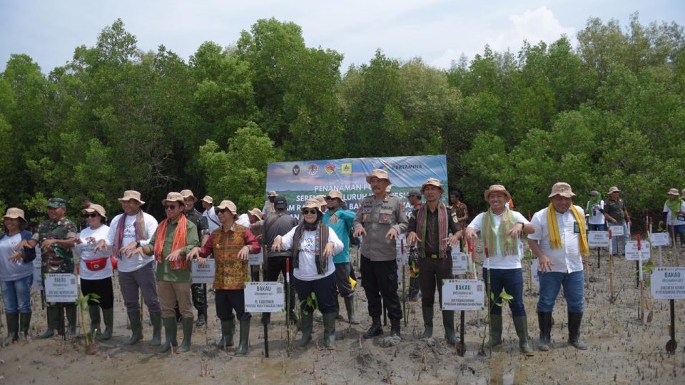 Dukung Upaya Mitigasi Perubahan Iklim, Pertamina Rehabilitasi Mangrove di Nusa Tenggara Timur