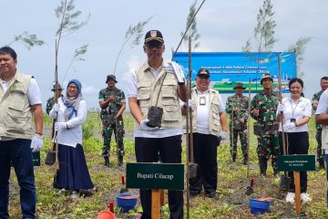 PLN Indonesia Power Inisiasi Program Ekowisata Mangrove Dorong Kesejahteraan di Pesisir Cilacap